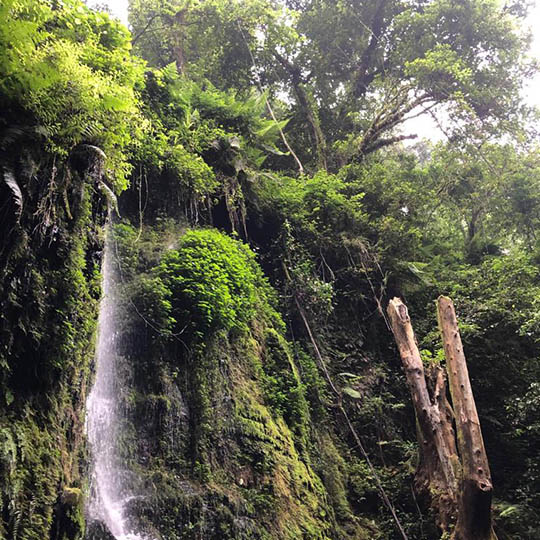 waterfall-arusha