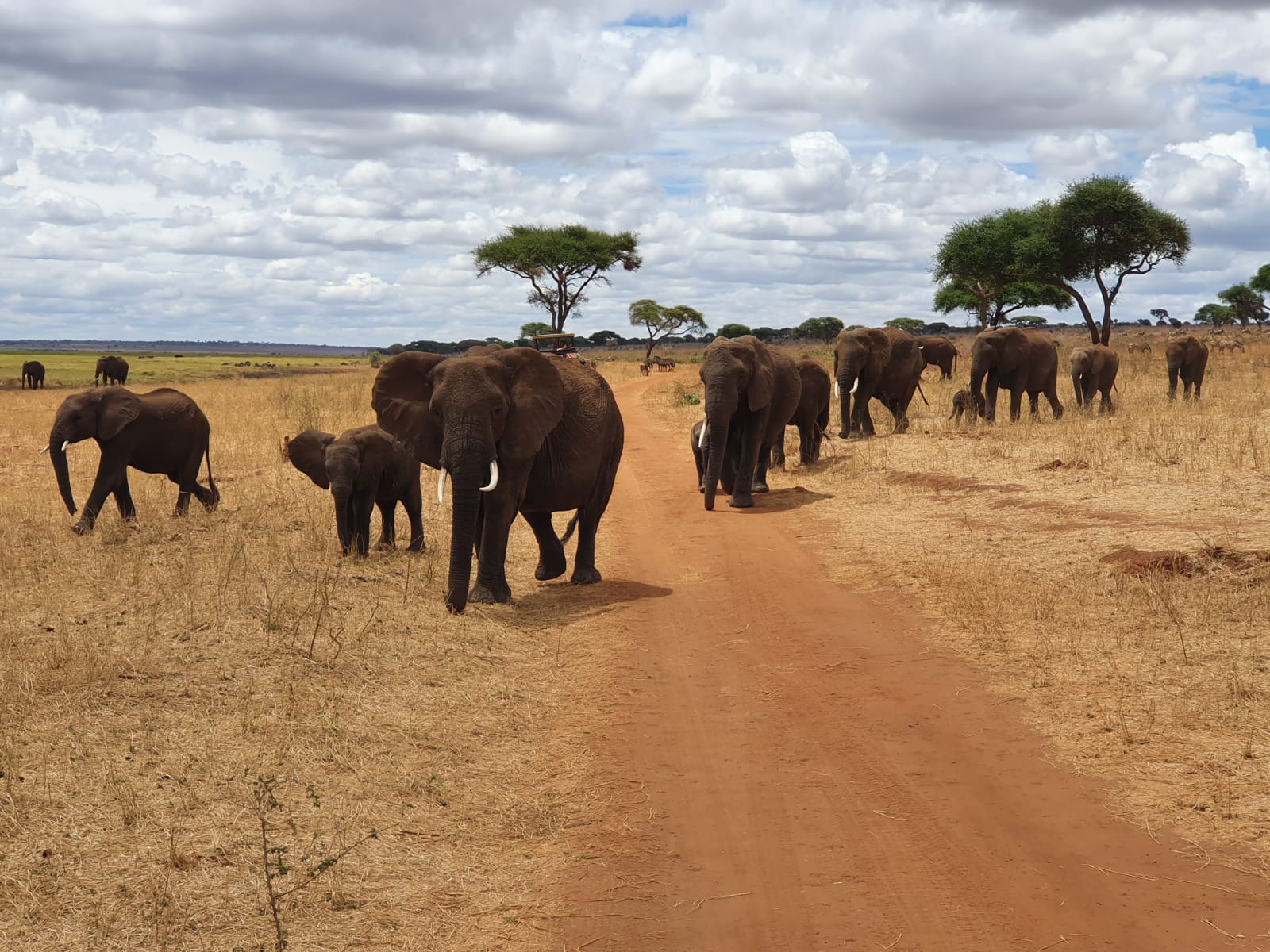 QGCZ2869